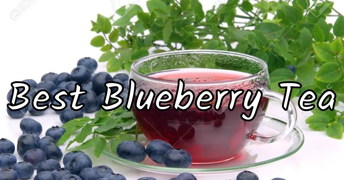 Top 6 Best Blueberry Tea Bags and Loose Leaf