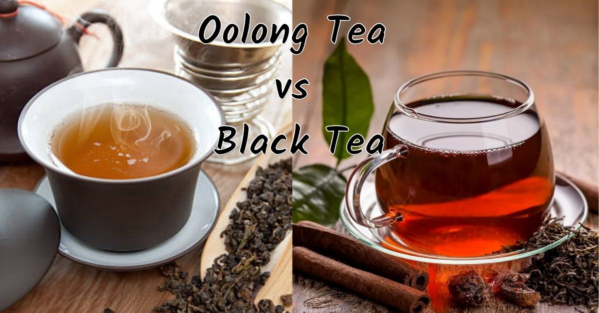 Oolong Tea vs Black Tea