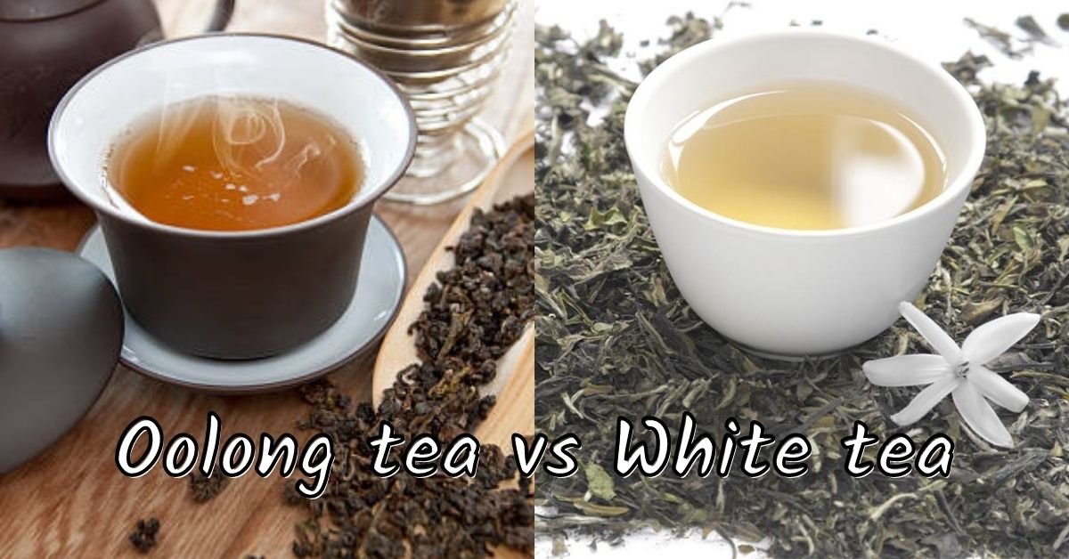 Oolong tea vs White tea – Detailed Review and Comparison