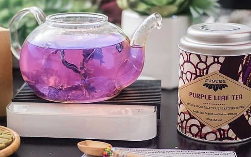 Purple Tea Benefits 