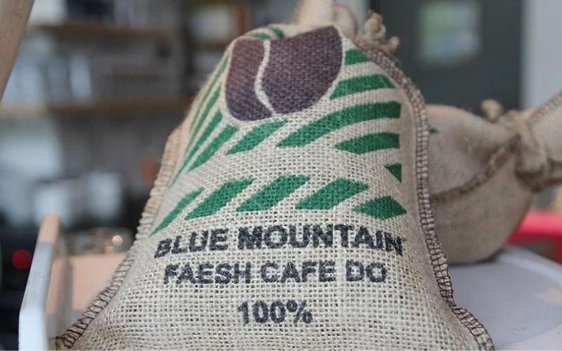 jamaica blue mountain coffee and k cup guide
