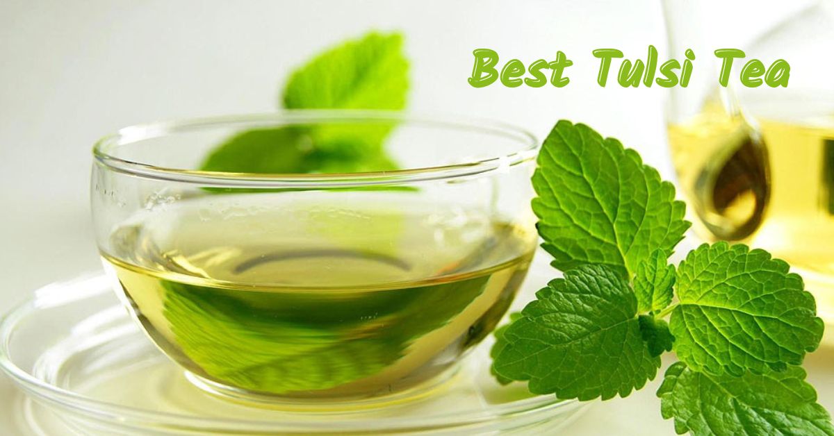  Top 3 Best Tulsi Tea- Guide and Benefits