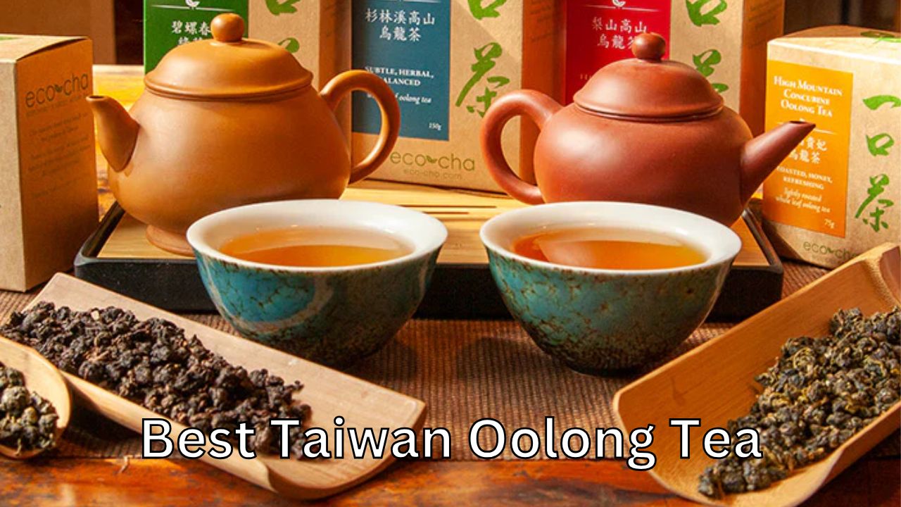 Best Taiwan Oolong Tea