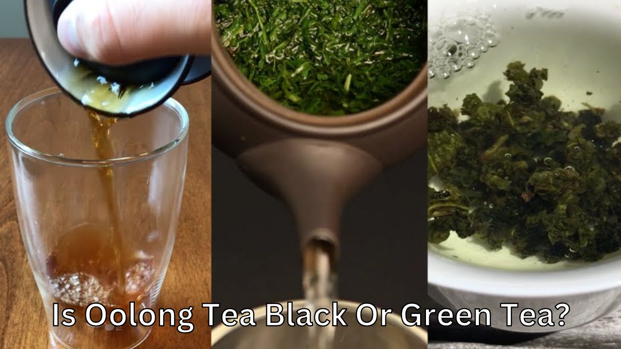 Is Oolong Tea Black Or Green Tea?