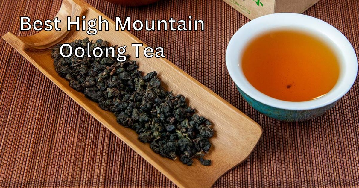 Best High Mountain Oolong Tea