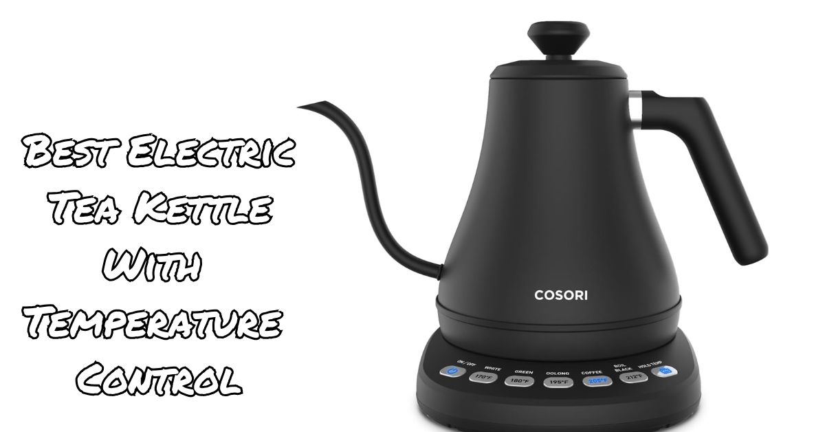 Best Electric Tea Kettle With Temperature Control