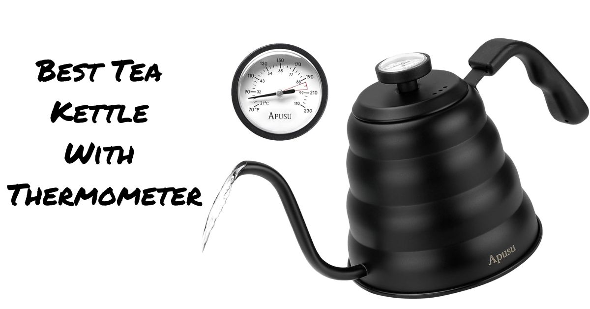 Best Tea Kettle With Thermometer