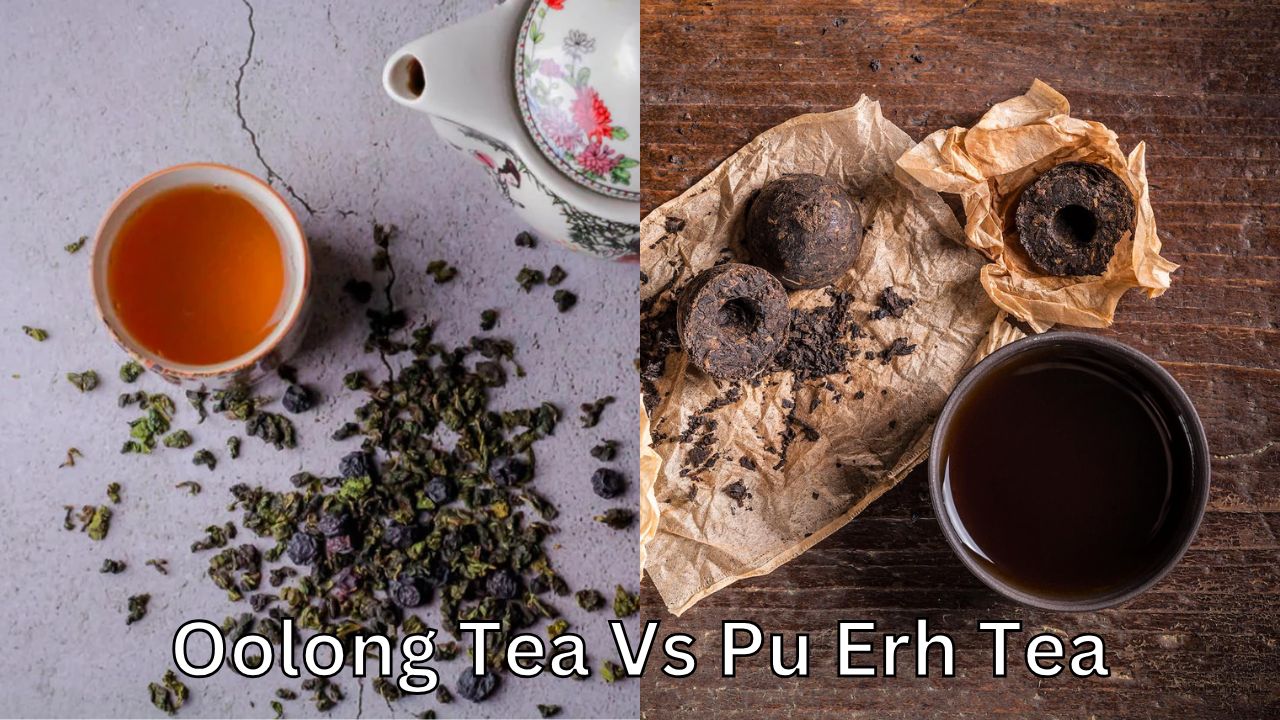 Oolong Tea Vs Pu Erh Tea