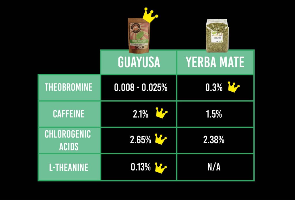 Guayusa Tea Vs Yerba Mate
