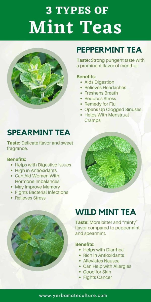 Spearmint Vs Peppermint Tea Benefits