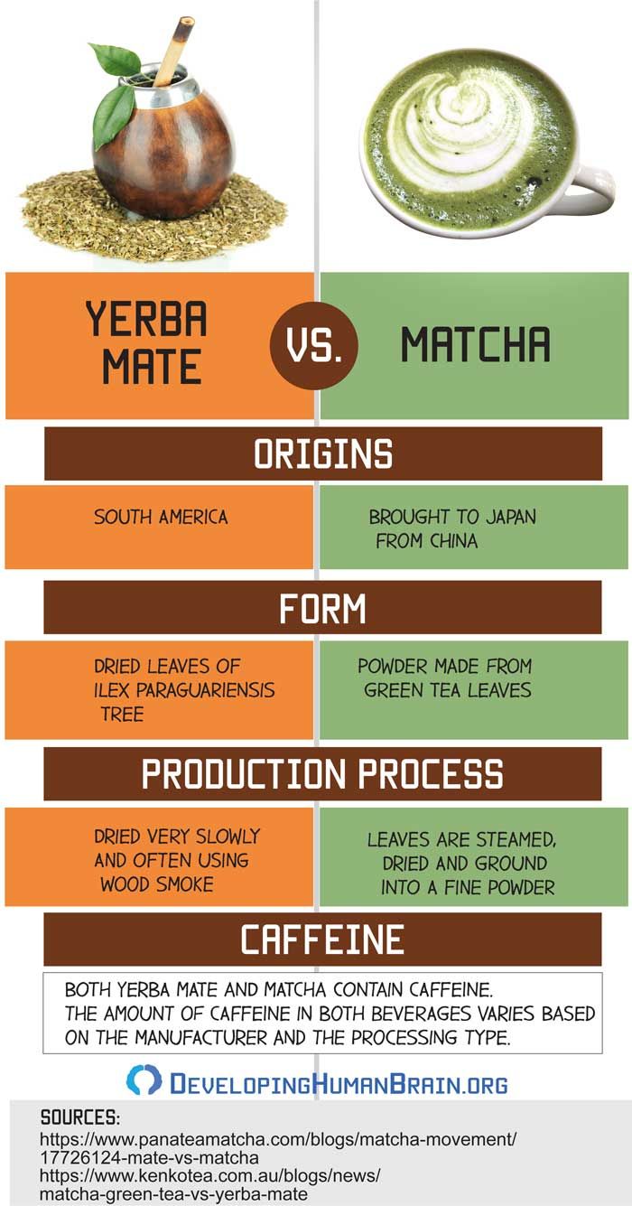 Yerba Mate Vs Matcha Tea