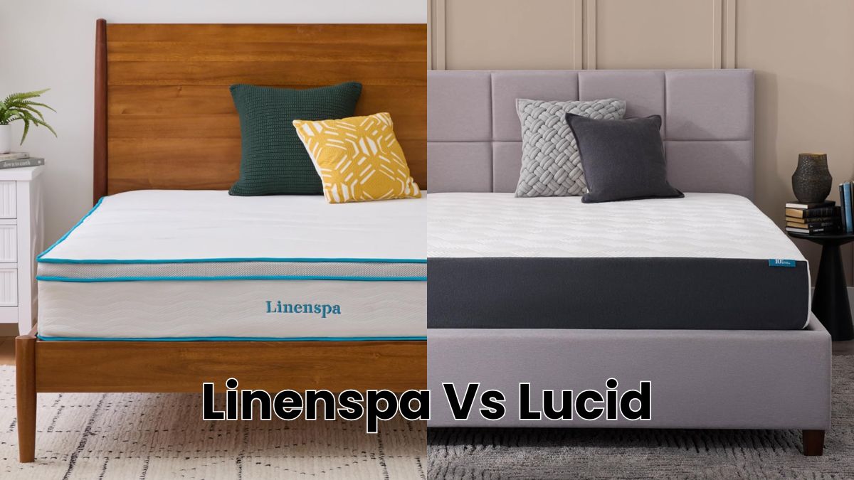 Linenspa Vs Lucid